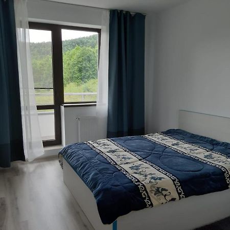 Dorin Colina Marei Apartment ซินายา ภายนอก รูปภาพ
