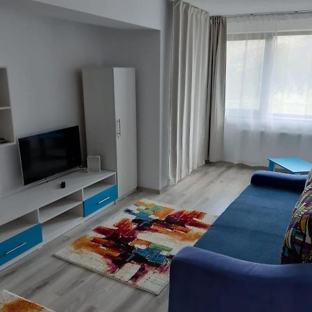Dorin Colina Marei Apartment ซินายา ภายนอก รูปภาพ