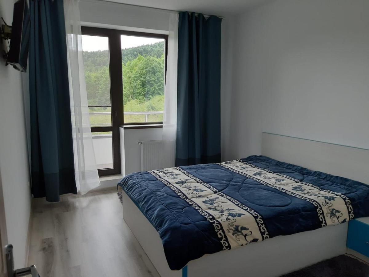 Dorin Colina Marei Apartment ซินายา ภายนอก รูปภาพ