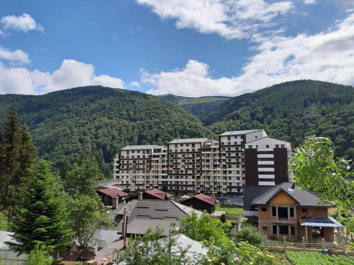Dorin Colina Marei Apartment ซินายา ภายนอก รูปภาพ