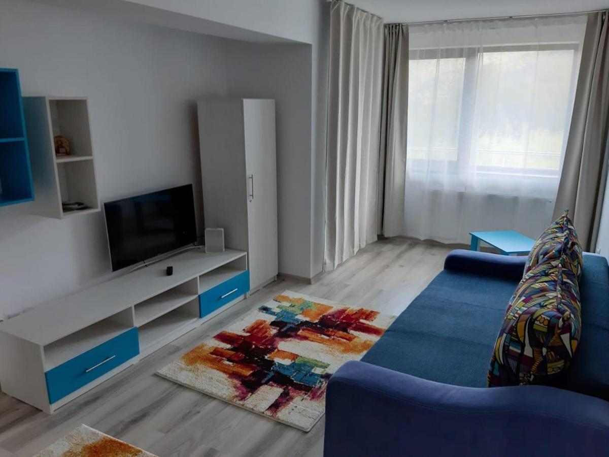 Dorin Colina Marei Apartment ซินายา ภายนอก รูปภาพ
